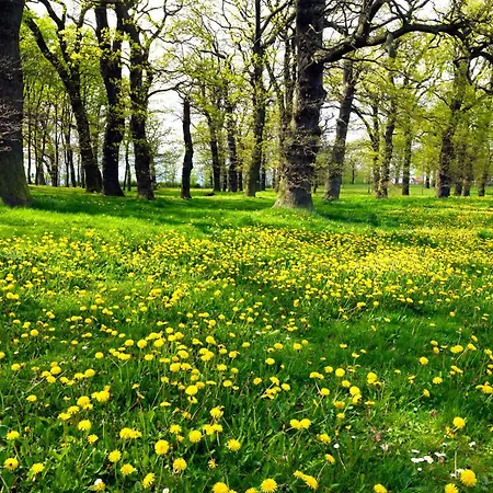 Casa vacanze Haus Leuchtturm